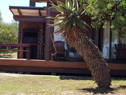  Lang Elsie's Kraal Rest Camp