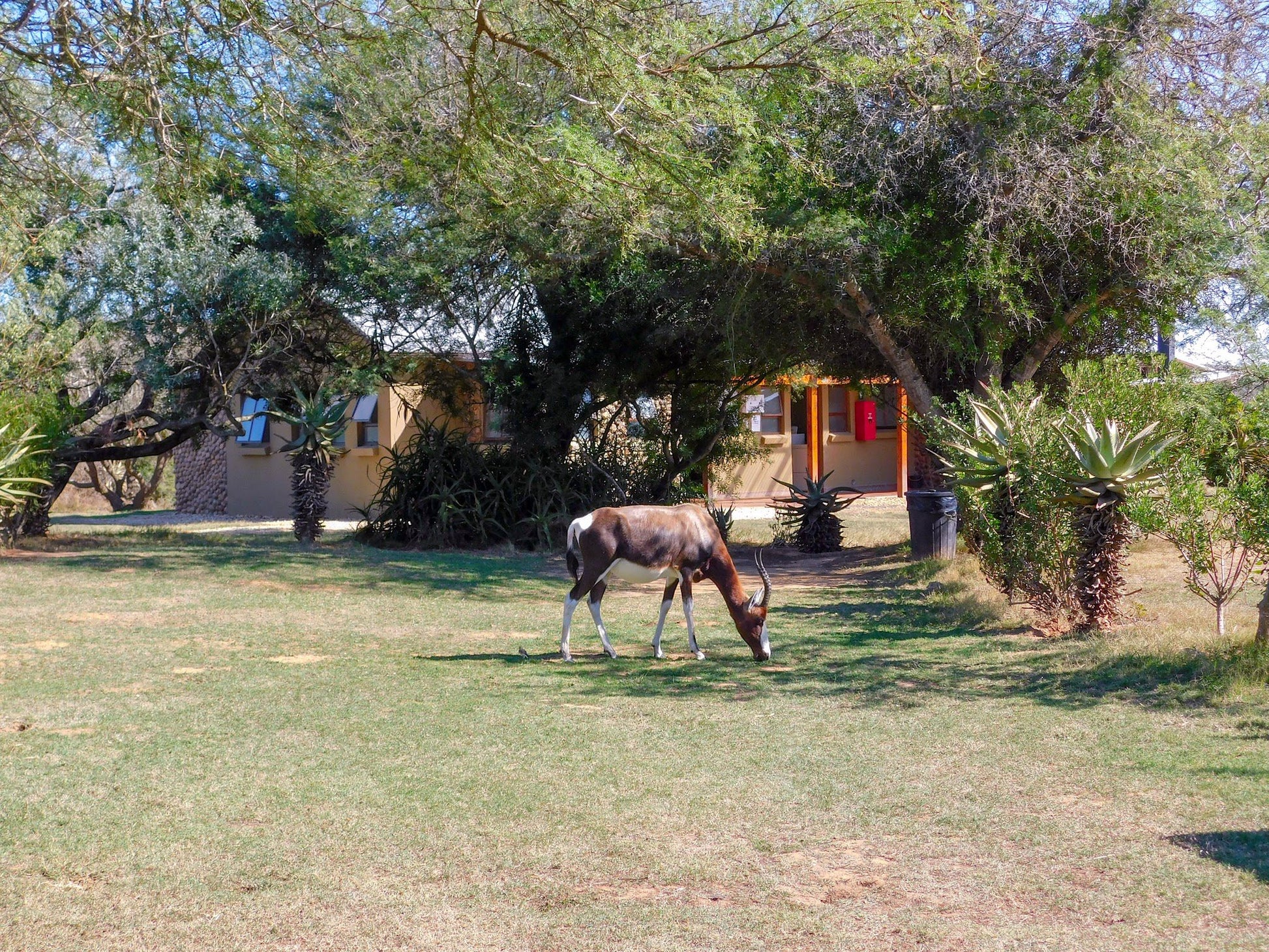  Lang Elsie's Kraal Rest Camp