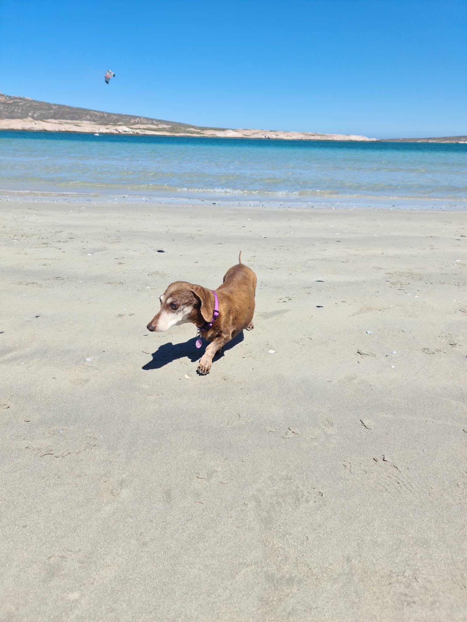  Langebaan Beach