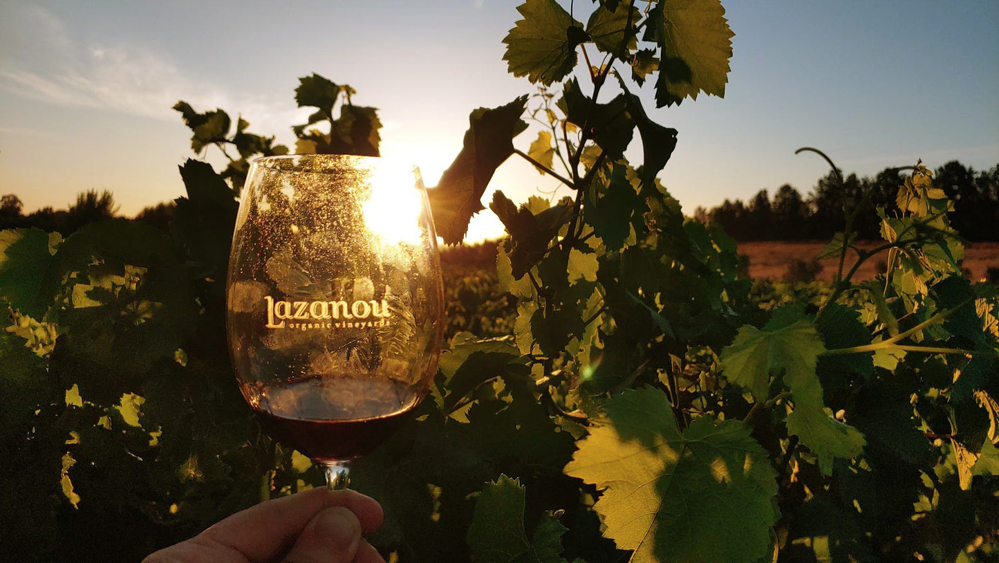  Lazanou Organic Vineyards - By appointement only