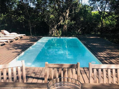 Lazuli Bush Lodge Hluhluwe Kwazulu Natal South Africa Complementary Colors, Swimming Pool