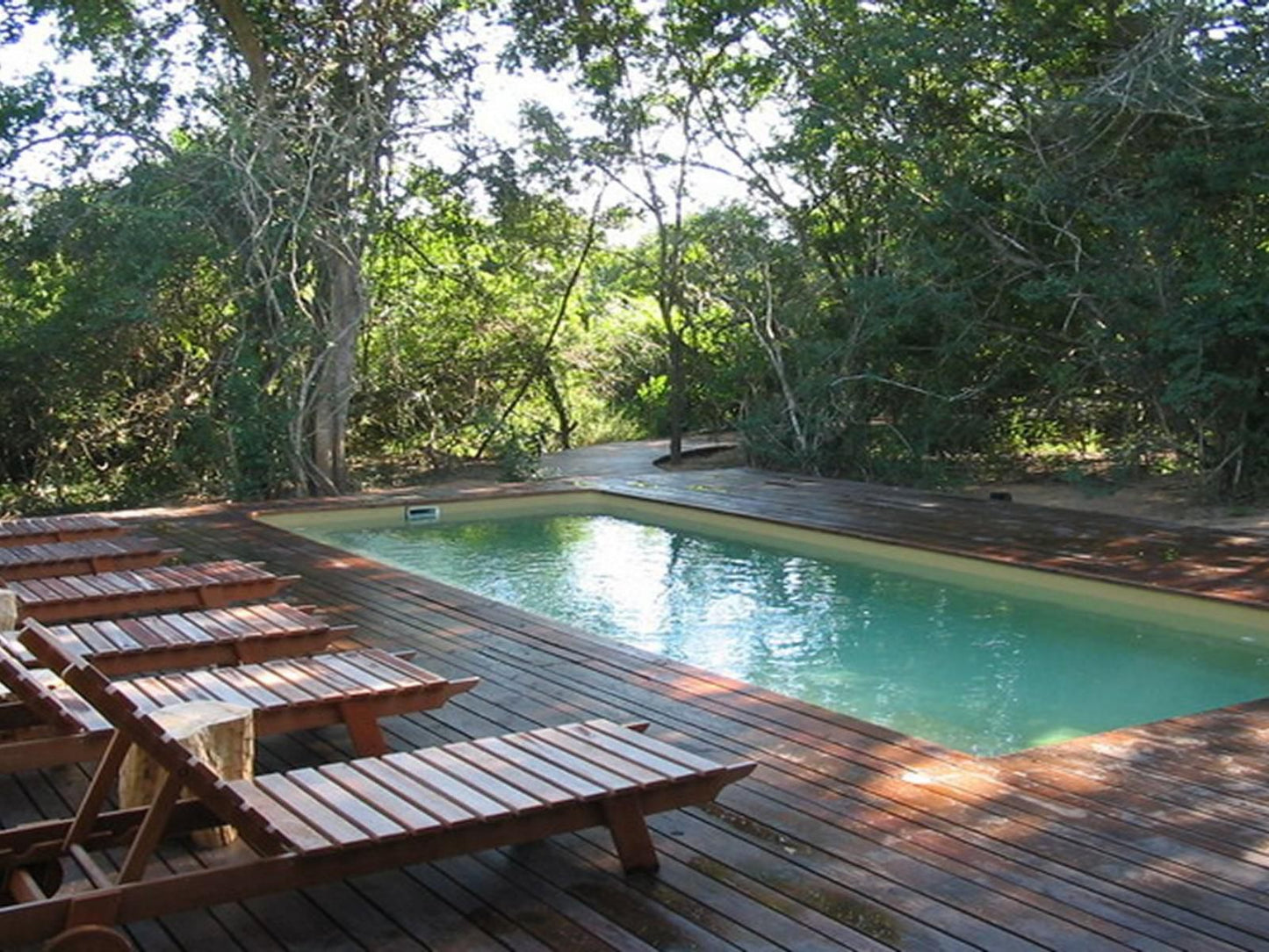 Lazuli Bush Lodge Hluhluwe Kwazulu Natal South Africa Swimming Pool