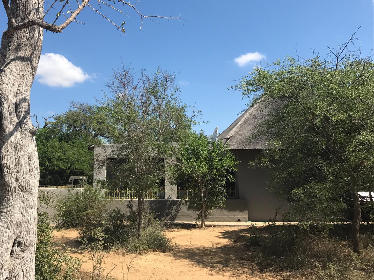 Leadwood Tree Safari Lodge Hoedspruit Limpopo Province South Africa Complementary Colors, Building, Architecture, Ruin