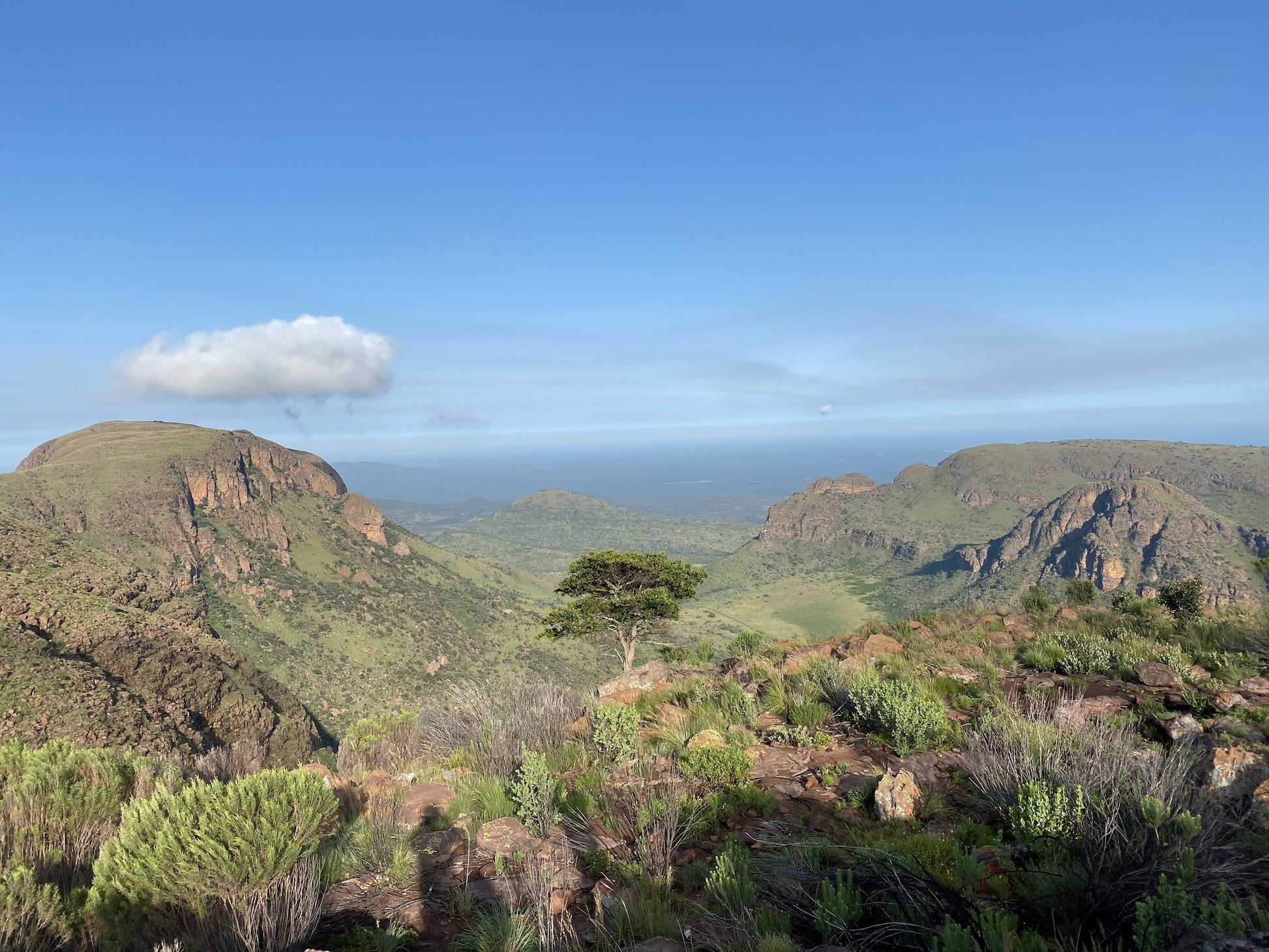  Lenong View Point