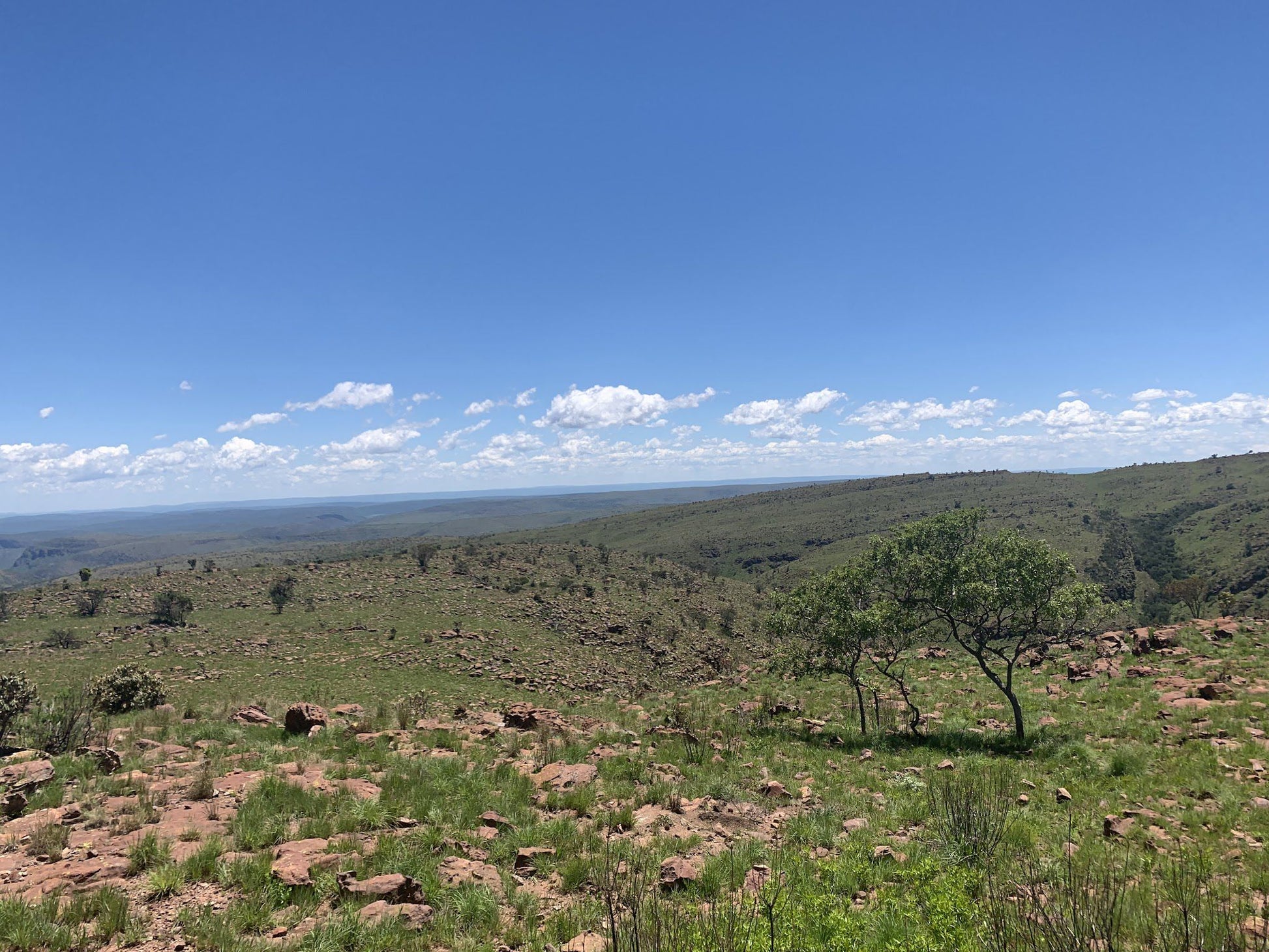  Lenong View Point