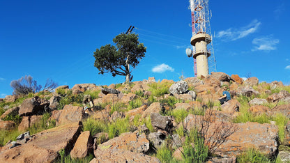  Lenong View Point