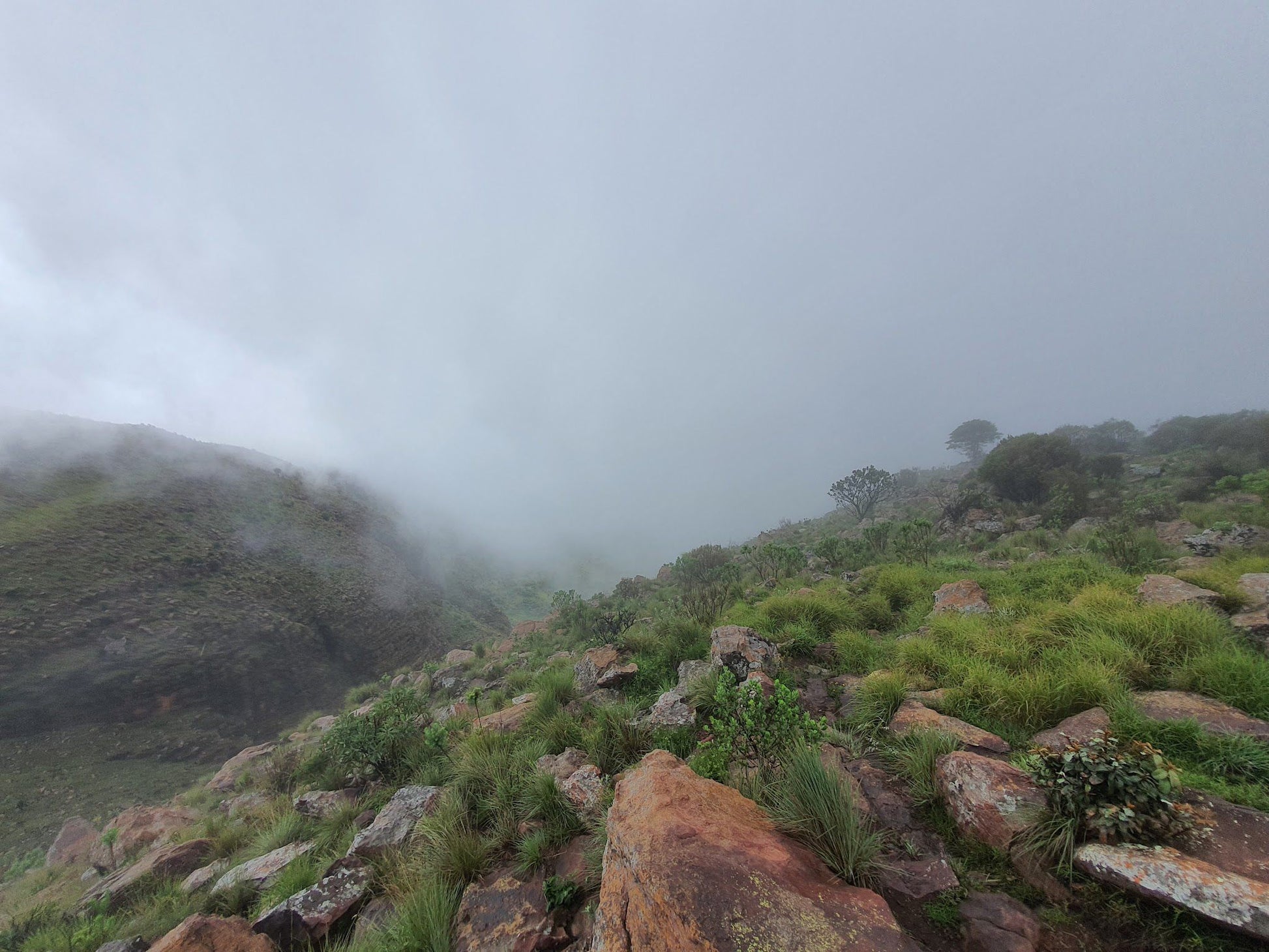  Lenong View Point