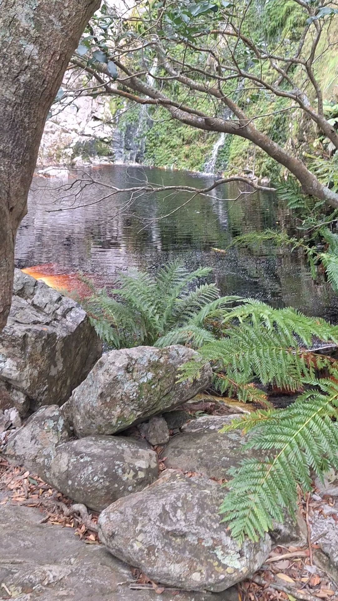  Leopard's Kloof Waterfall