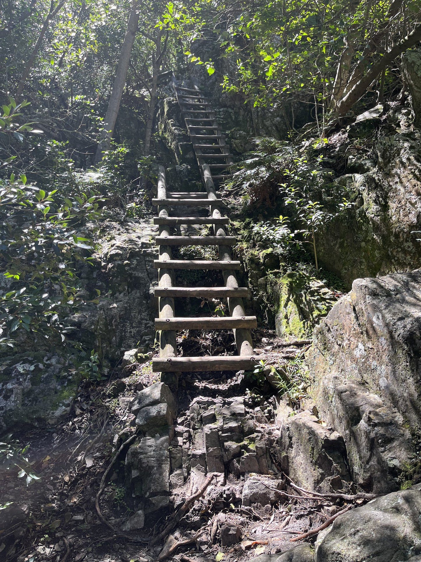  Leopard's Kloof Waterfall