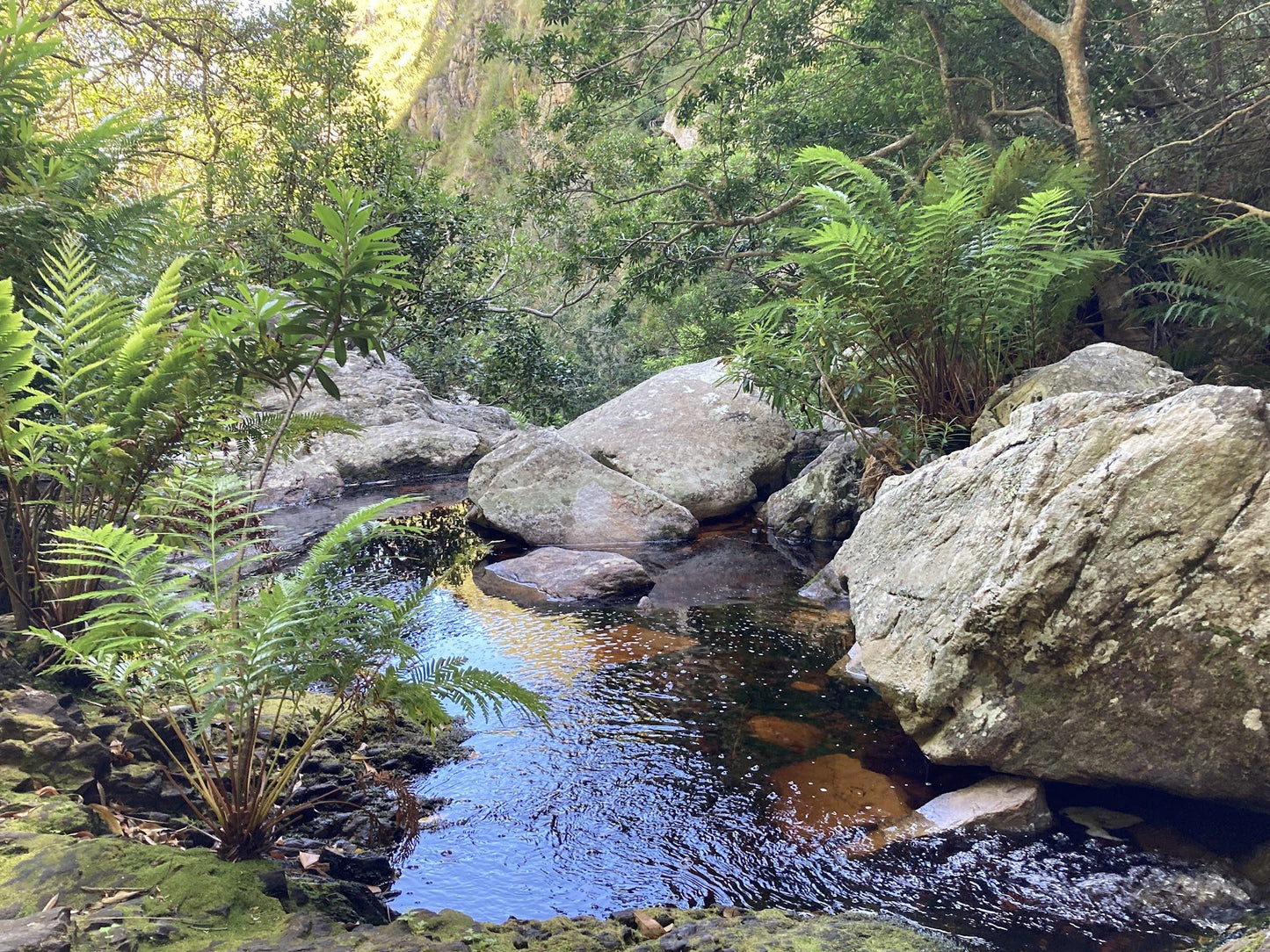  Leopard's Kloof Waterfall