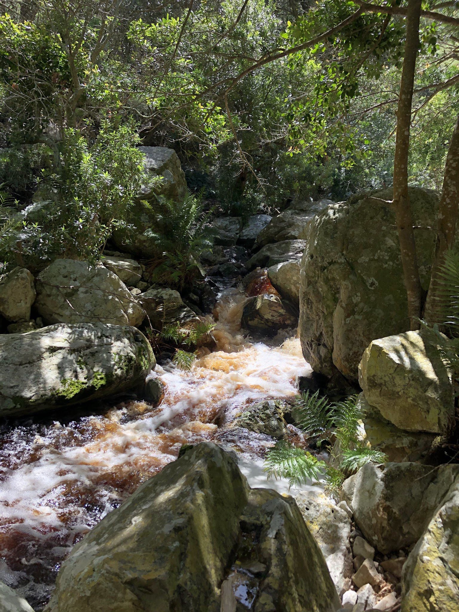  Leopard's Kloof Waterfall