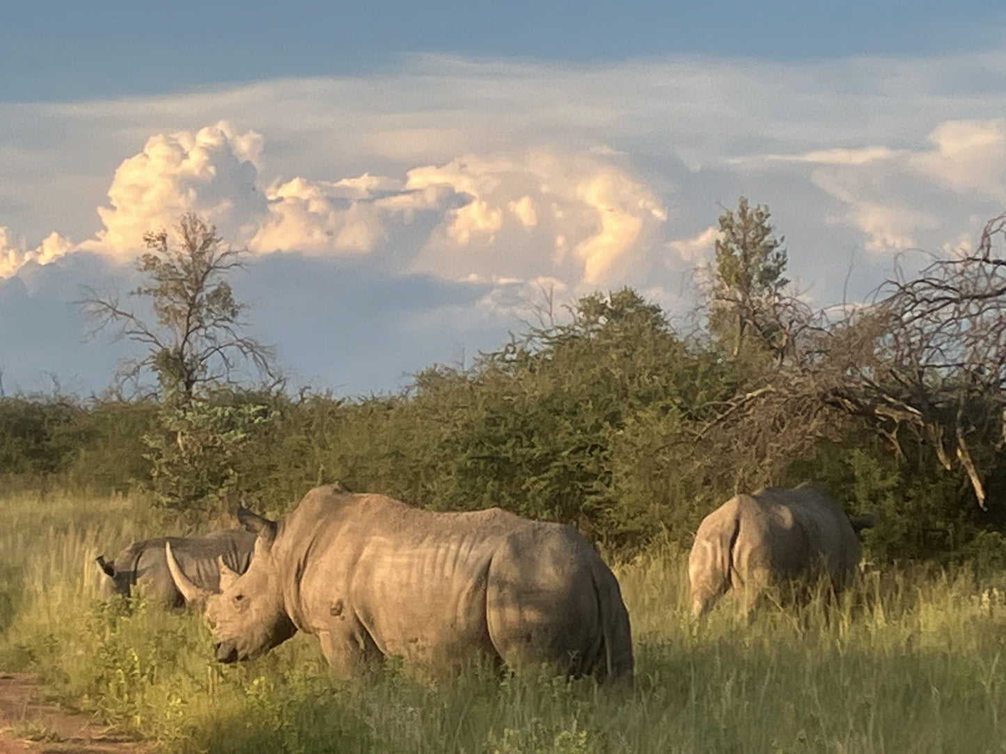  Leopardsong Game Lodge