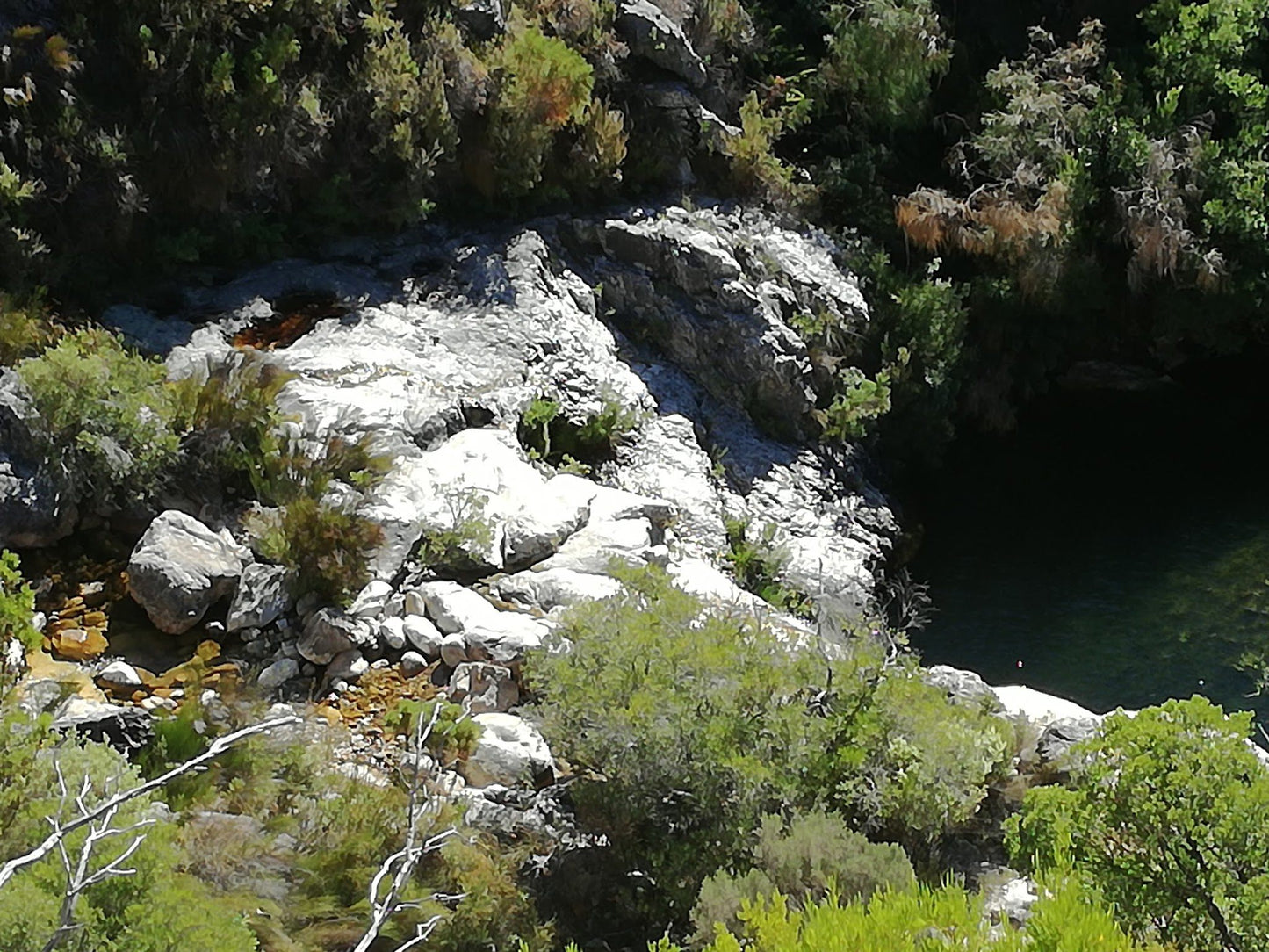  Limietberg Nature Reserve