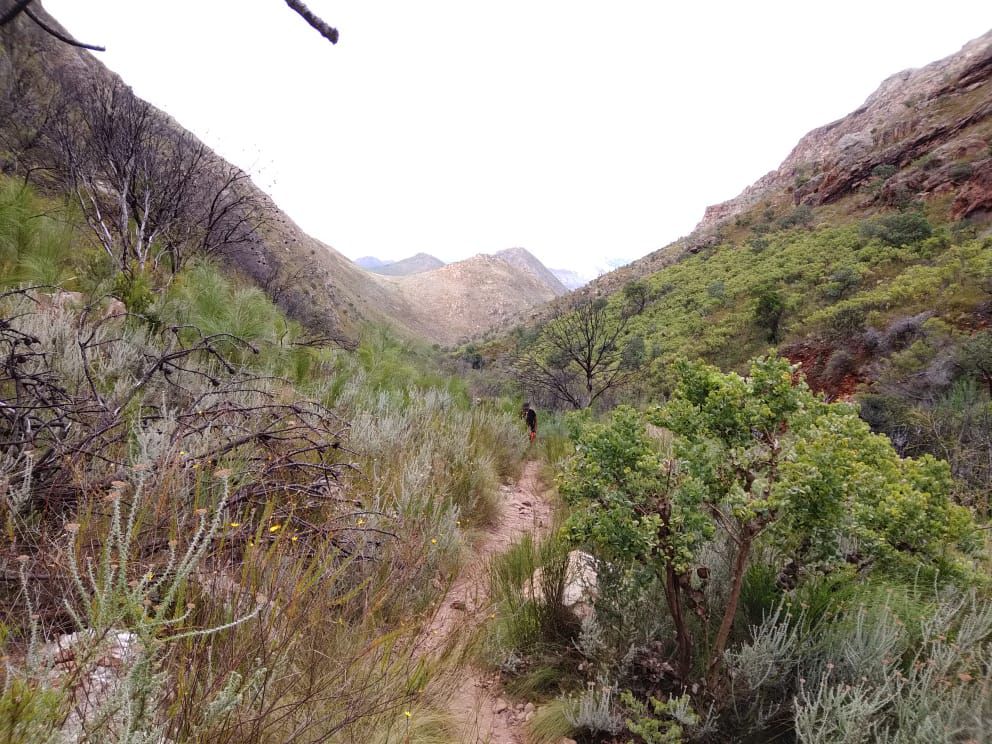  Limietberg Nature Reserve