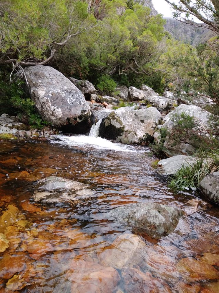  Limietberg Nature Reserve