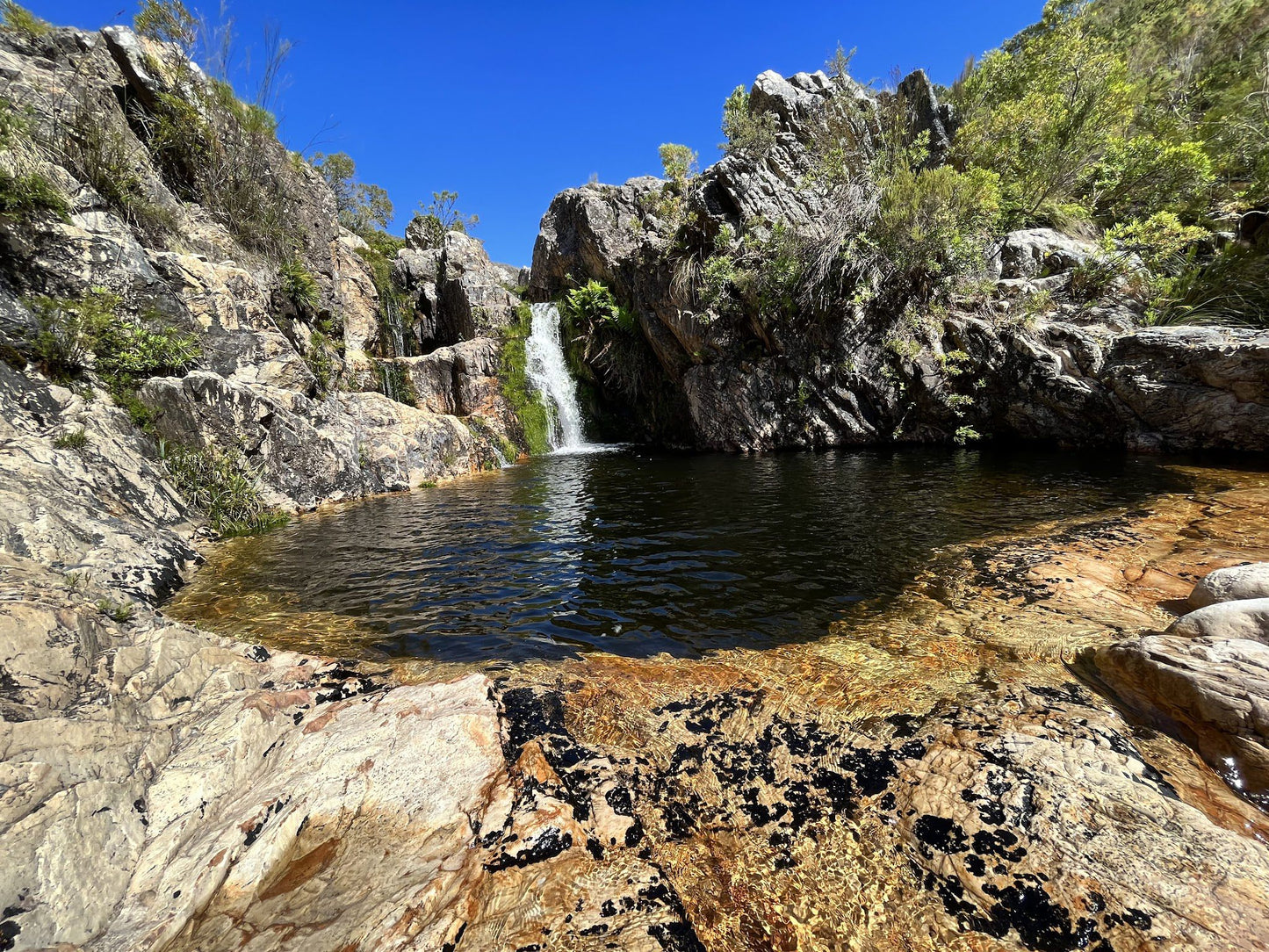  Limietberg Nature Reserve