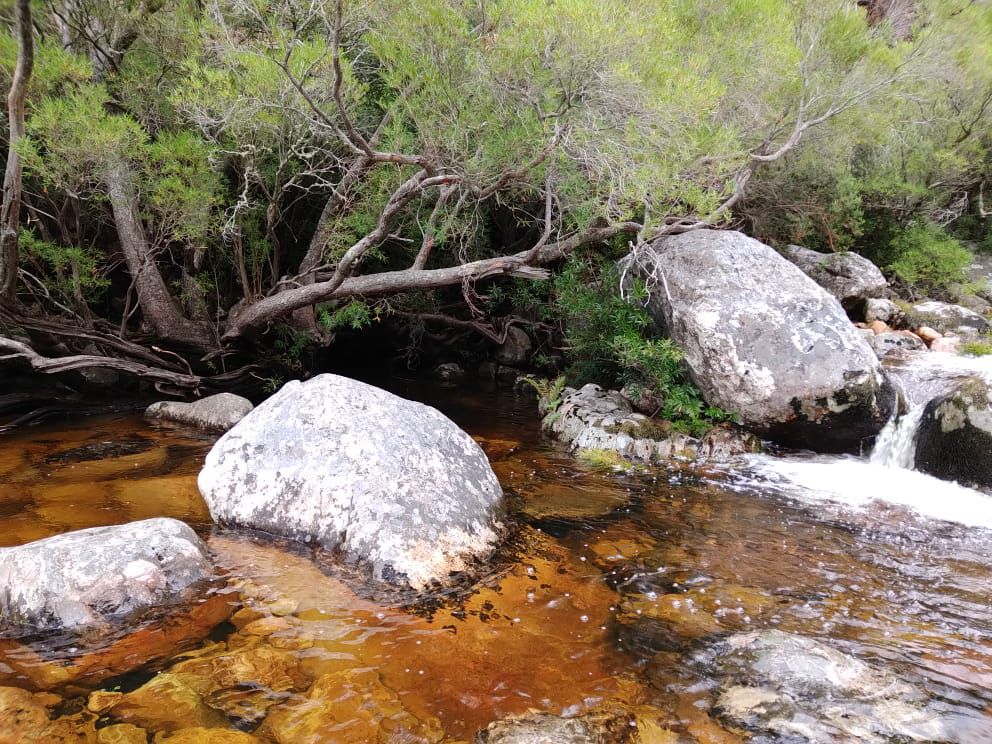  Limietberg Nature Reserve