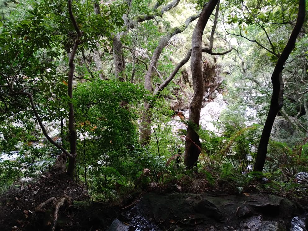  Limietberg Nature Reserve