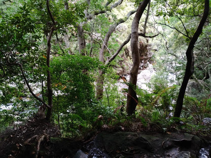  Limietberg Nature Reserve