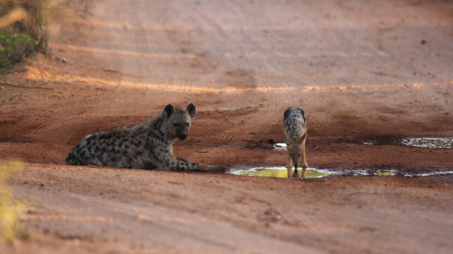  Limpopo-Lipadi Wildlife and Wilderness Reserve