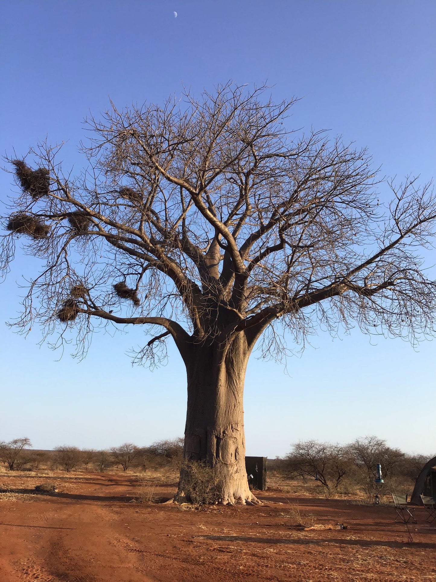  Limpopo-Lipadi Wildlife and Wilderness Reserve