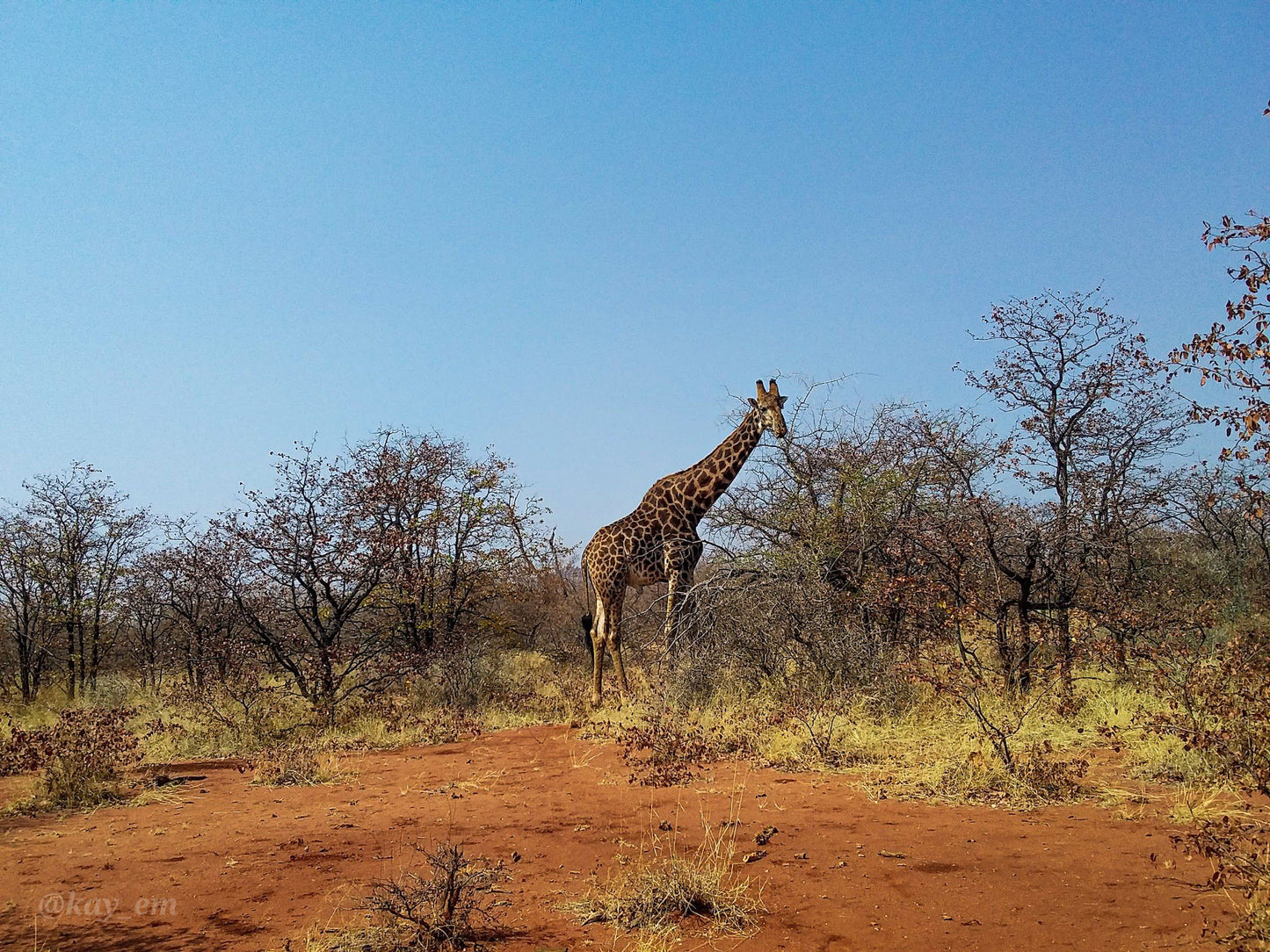  Limpopo-Lipadi Wildlife and Wilderness Reserve