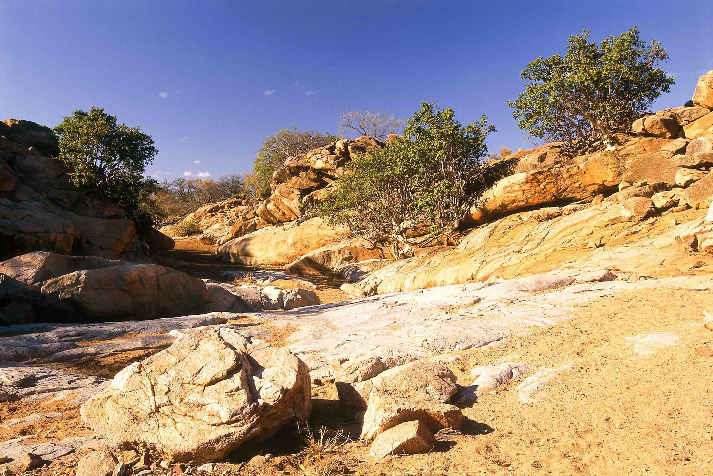  Limpopo-Lipadi Wildlife and Wilderness Reserve