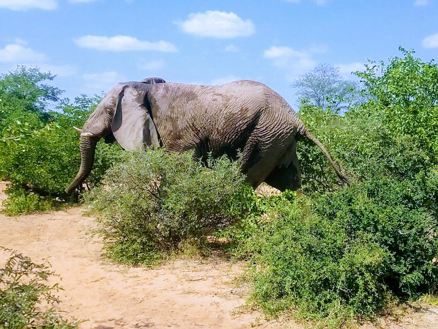  Limpopo-Lipadi Wildlife and Wilderness Reserve