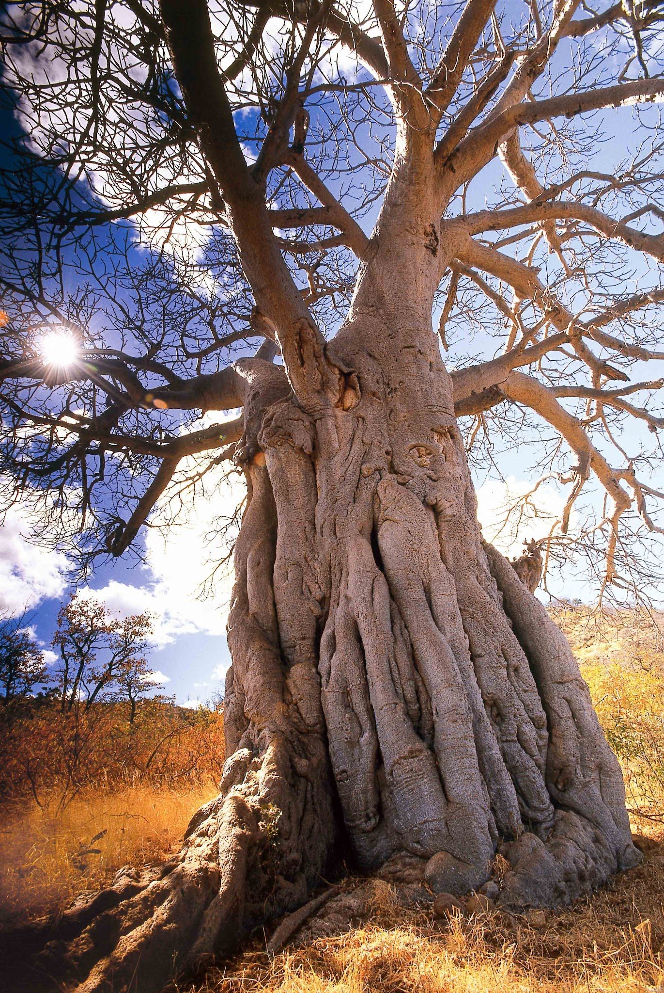  Limpopo-Lipadi Wildlife and Wilderness Reserve