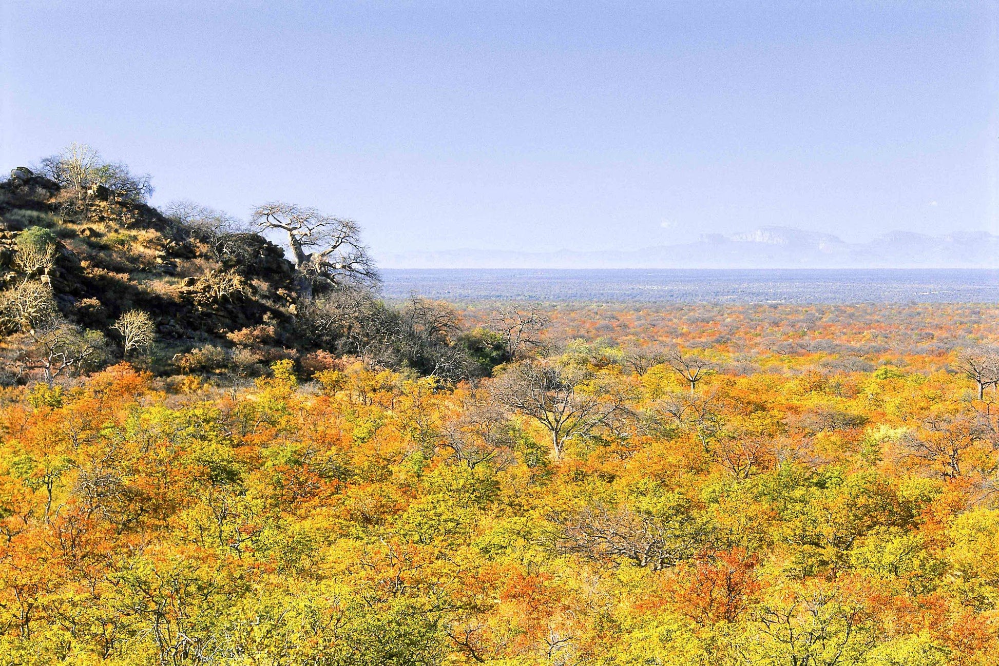  Limpopo-Lipadi Wildlife and Wilderness Reserve