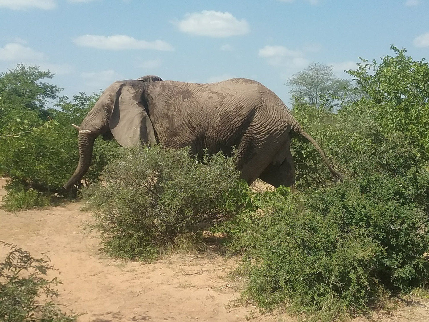  Limpopo-Lipadi Wildlife and Wilderness Reserve