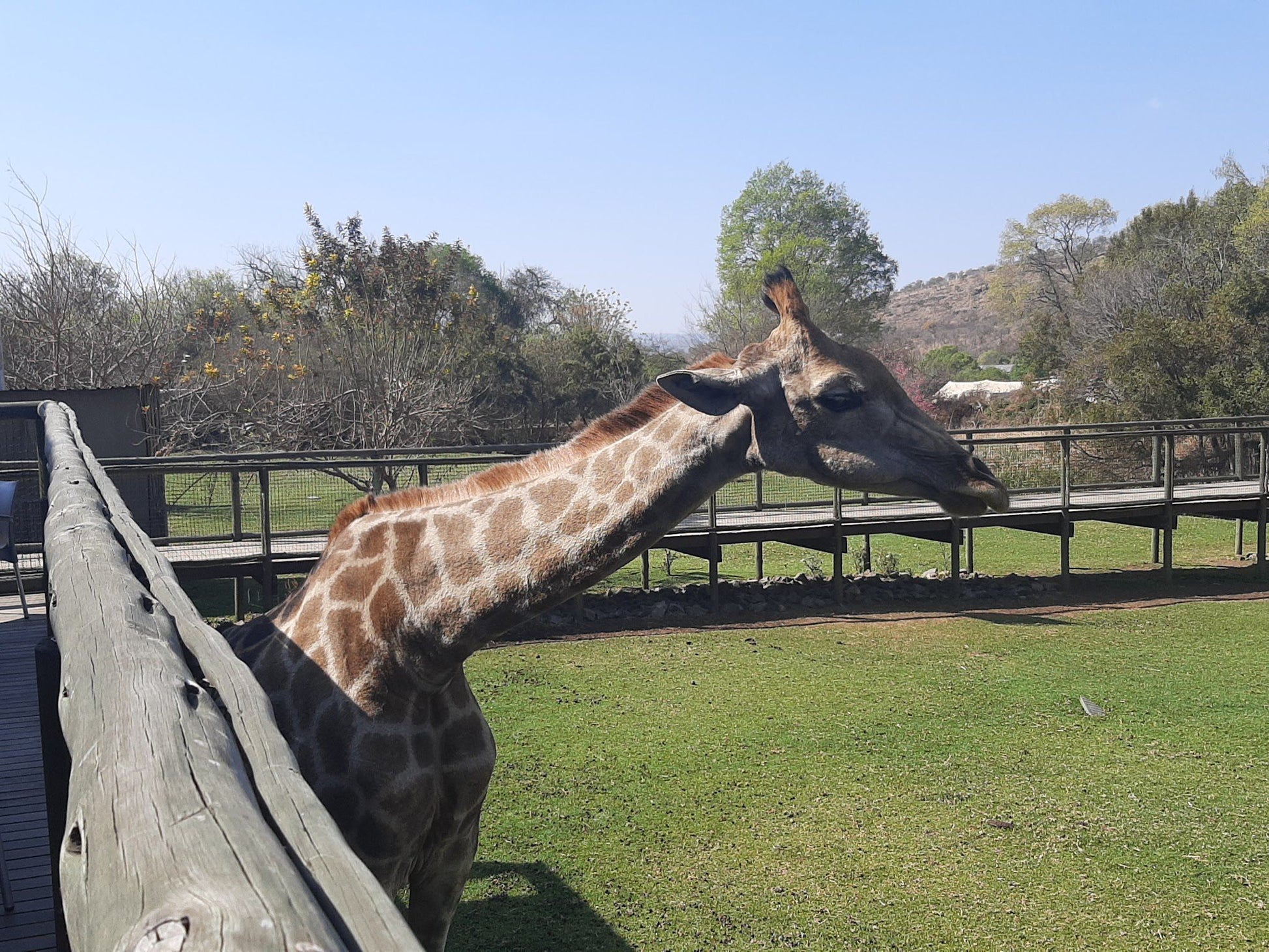  Lion & Safari Park