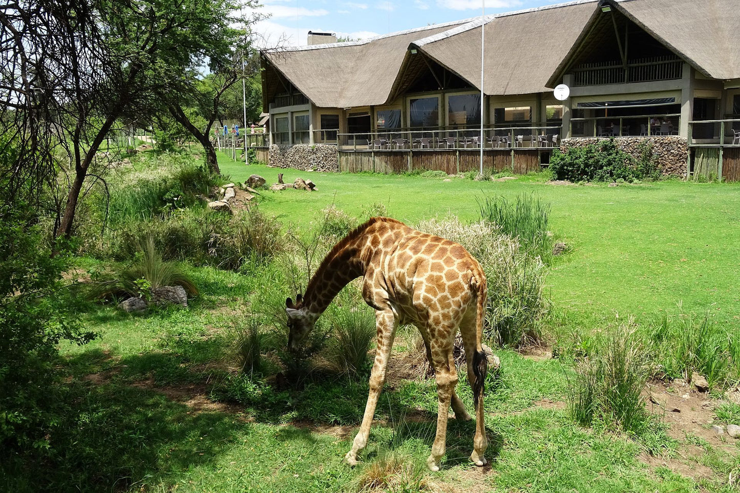  Lion & Safari Park