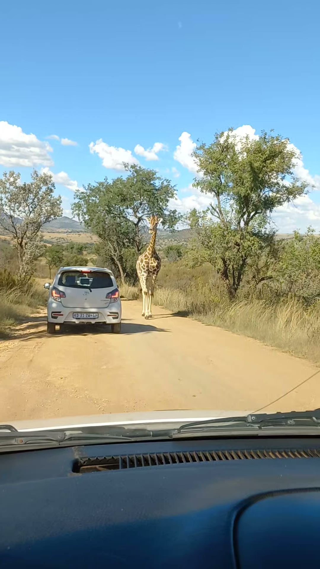  Lion & Safari Park