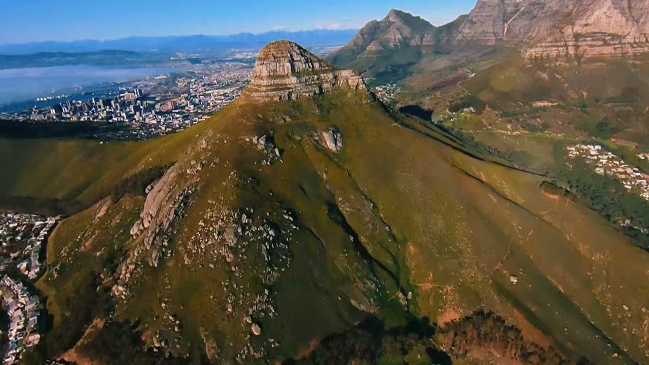 Lion's Head