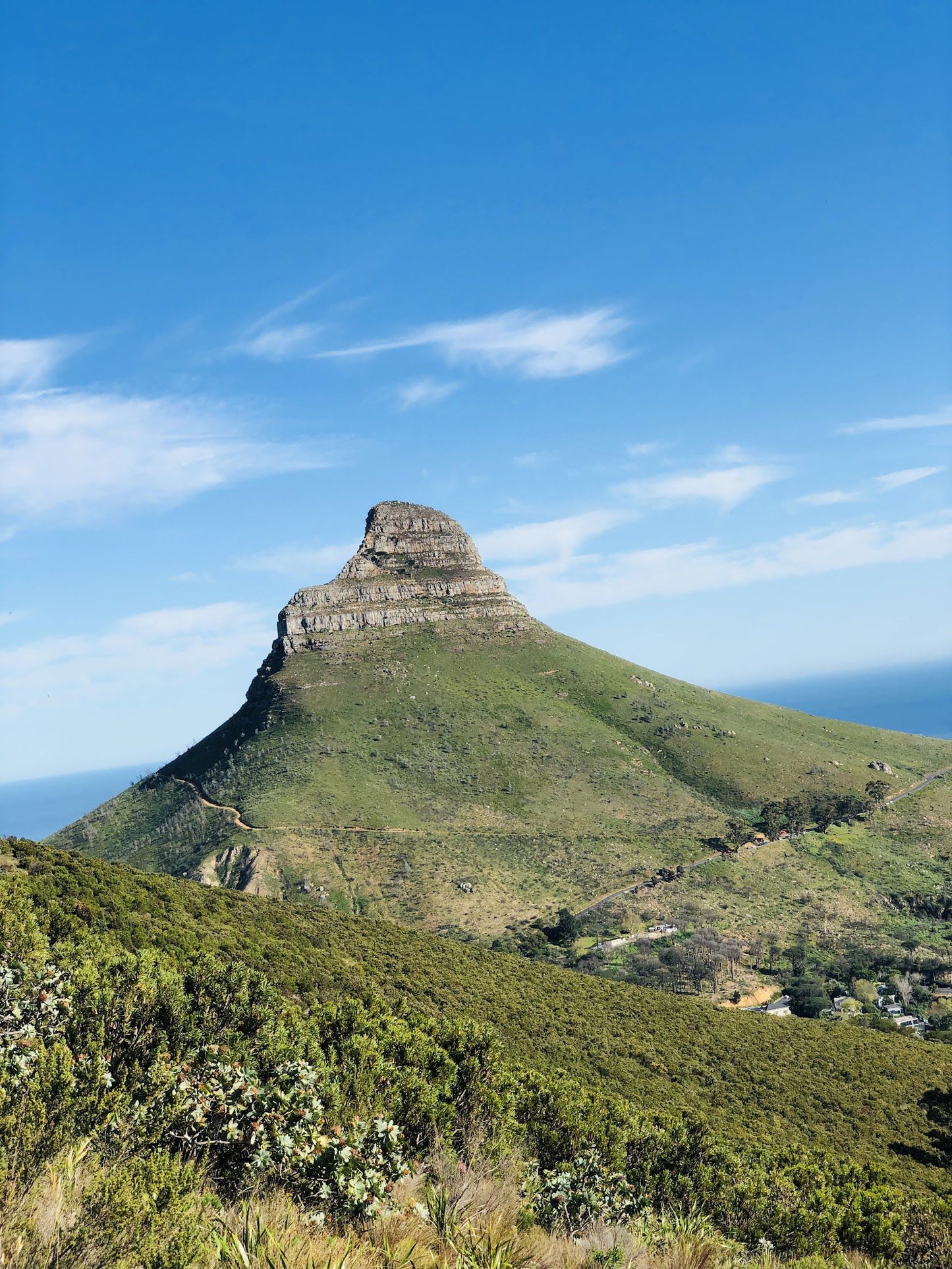 Lion's Head