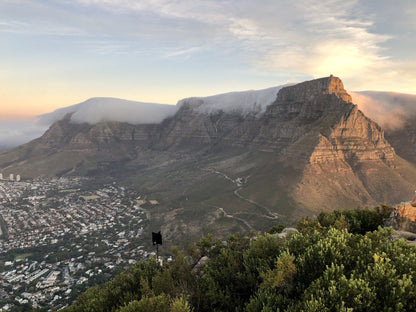 Lion's Head