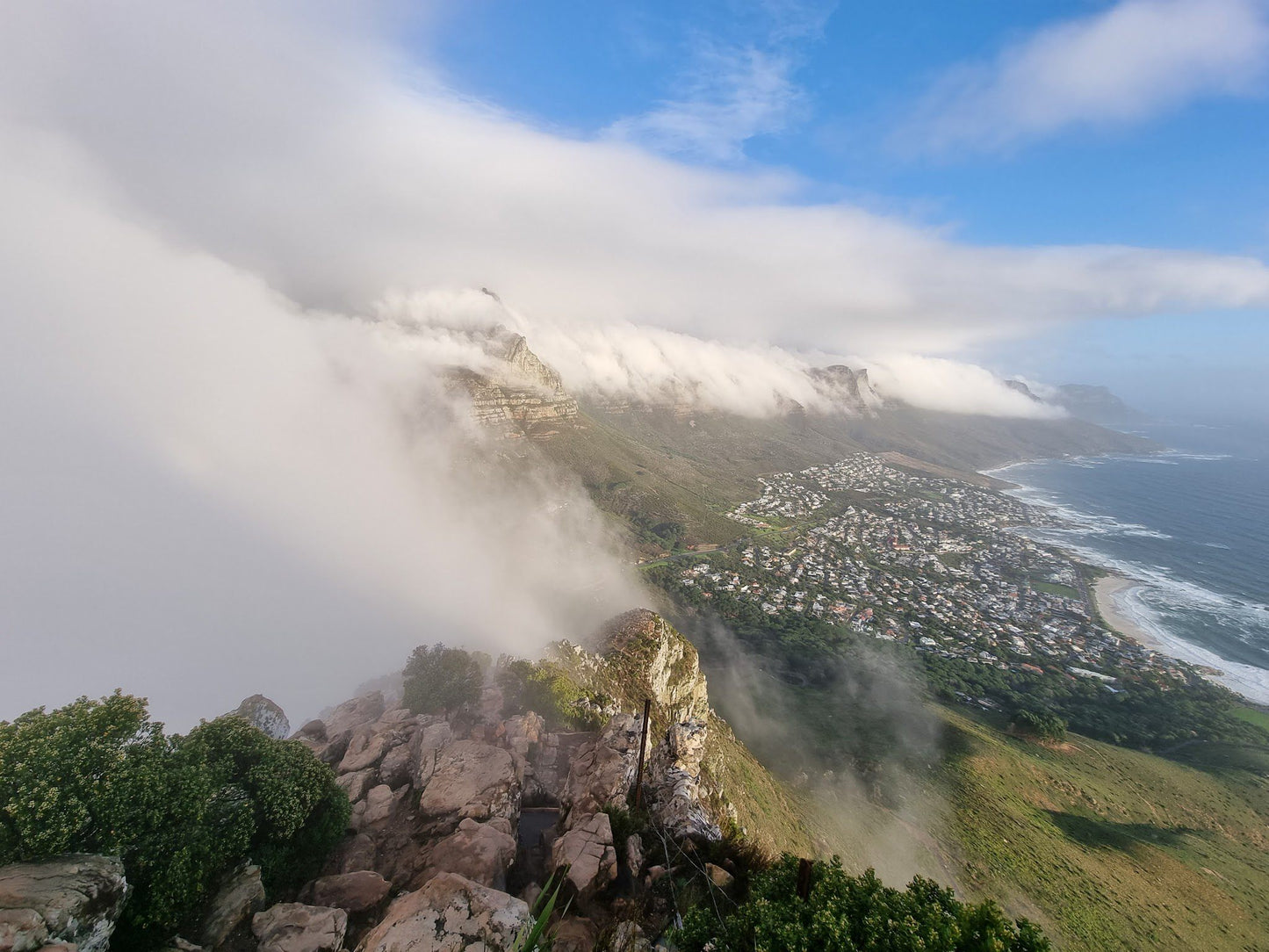 Lion's Head