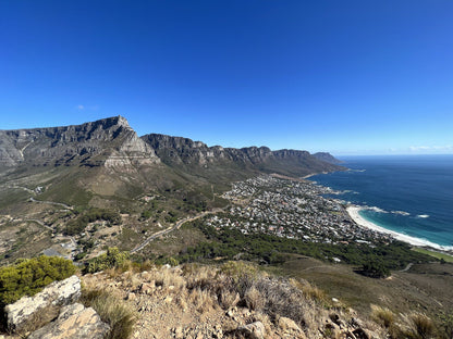 Lion's Head