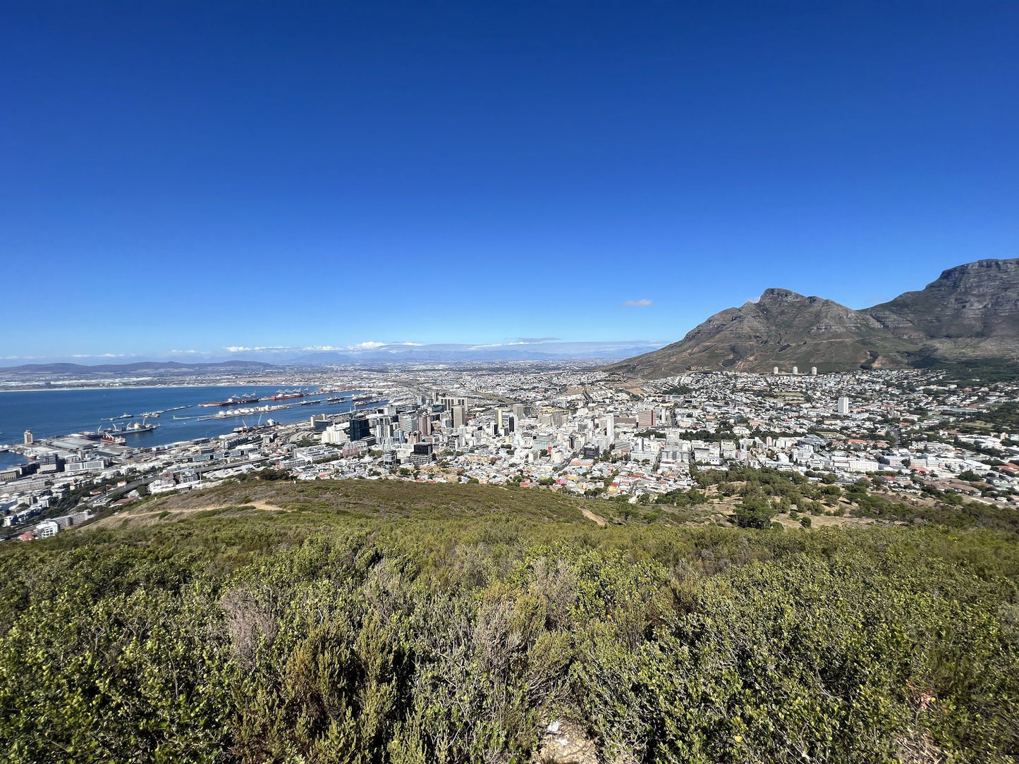 Lion's Head