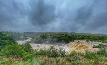  Lions River