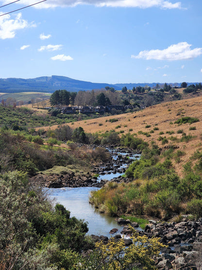  Lions River