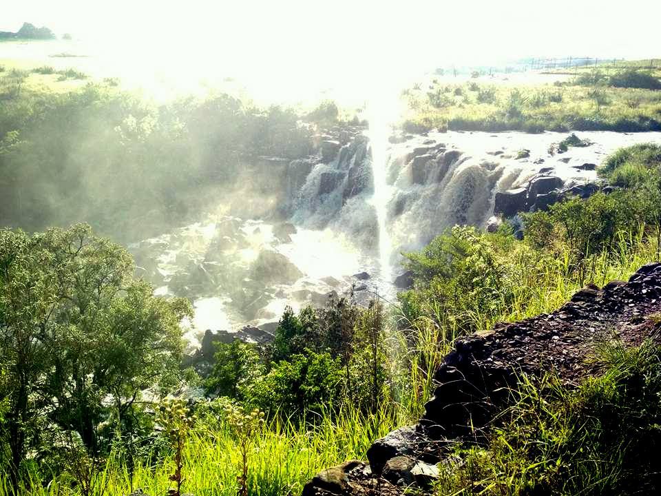  Lions River