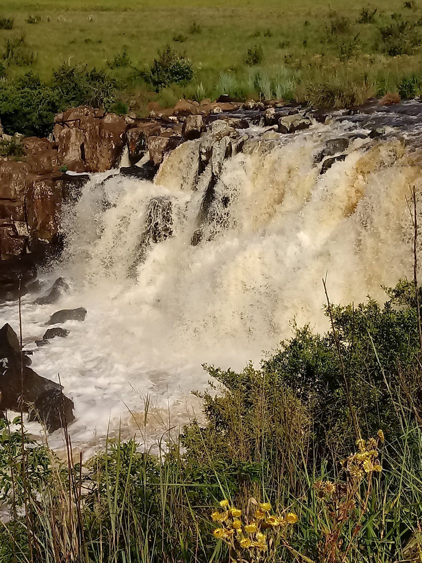  Lions River