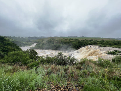  Lions River