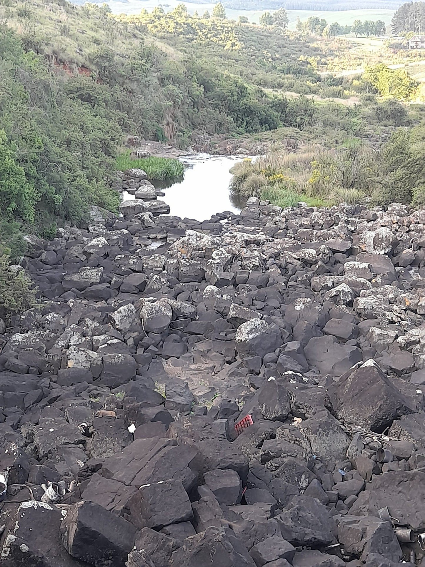  Lions River