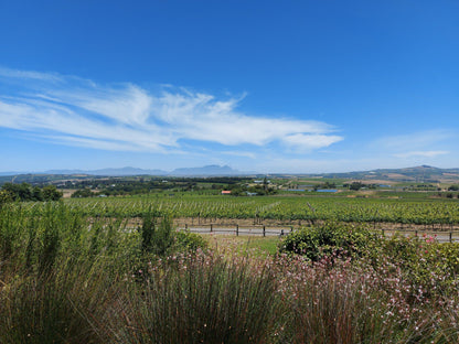  Longridge Wine Estate