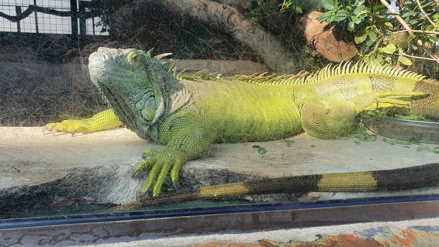  Lory Park Zoo