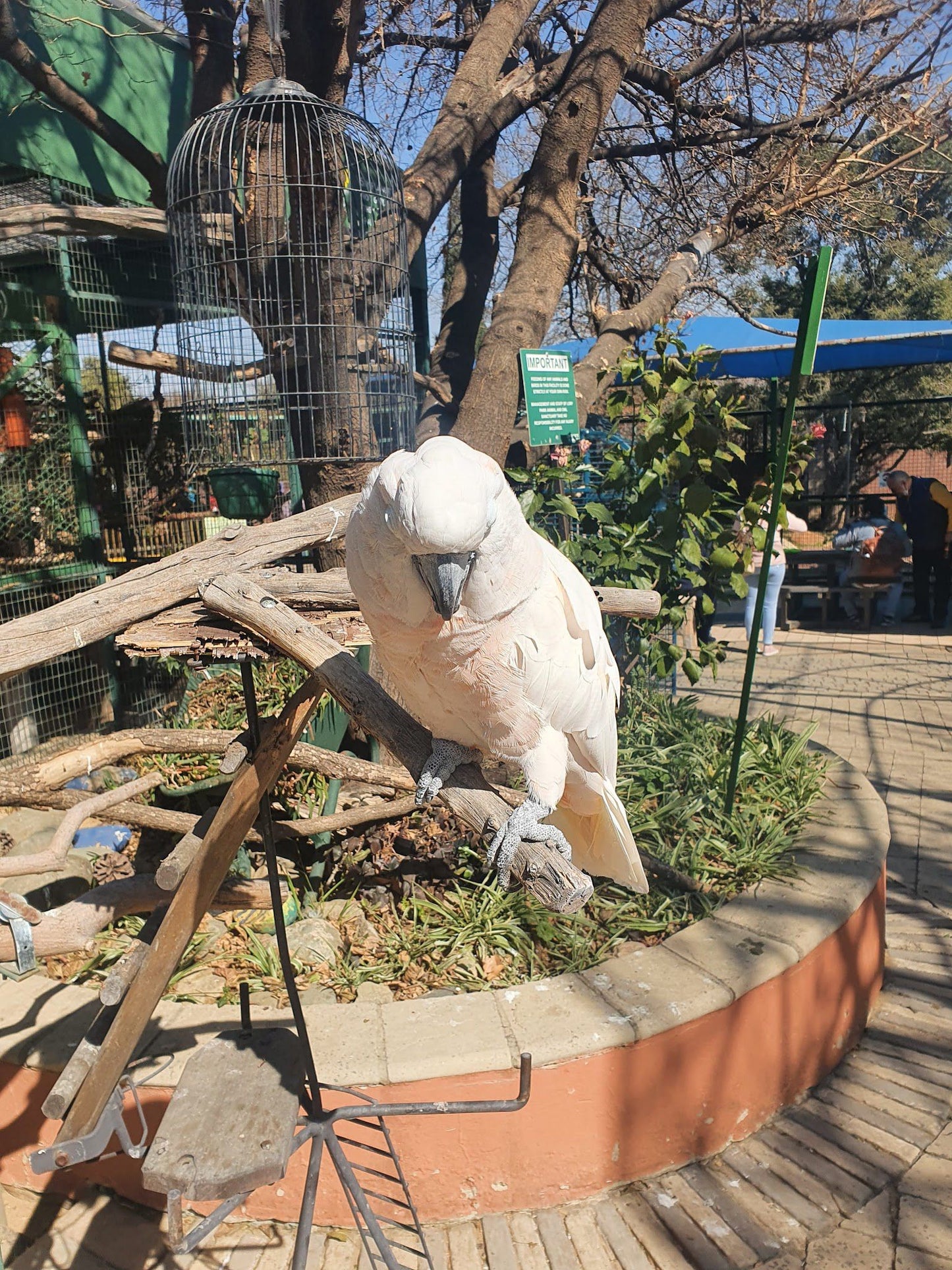  Lory Park Zoo