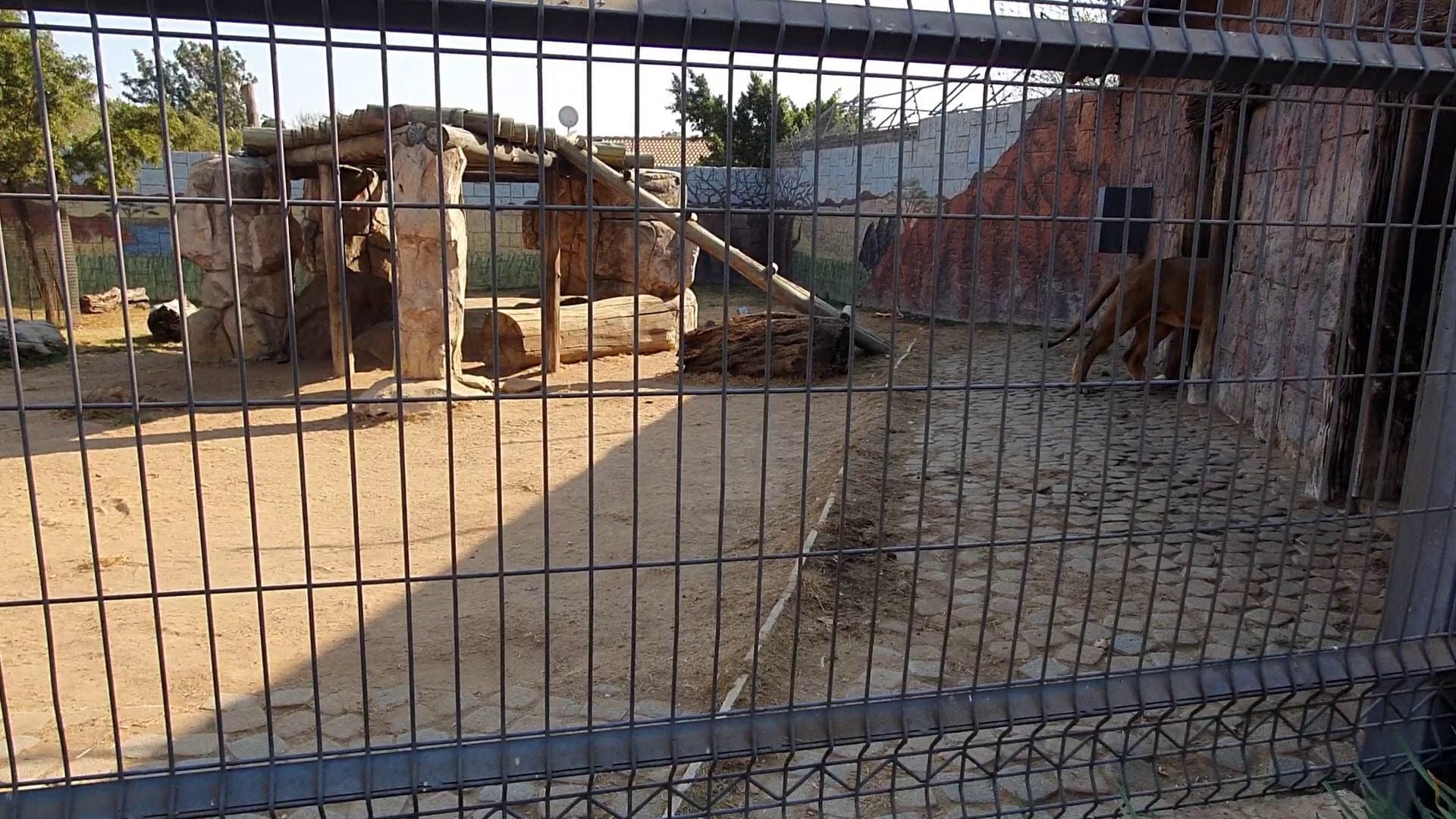  Lory Park Zoo